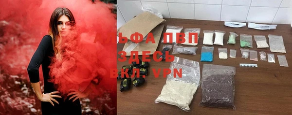 прущие грибы Верхнеуральск