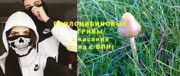 мет Верея