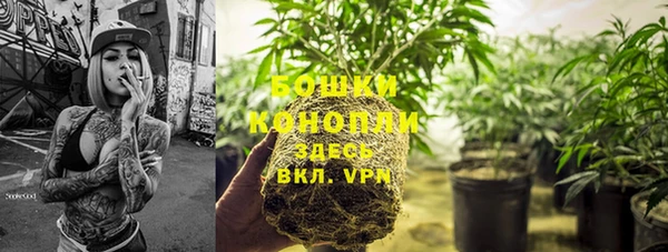 прущие грибы Верхнеуральск
