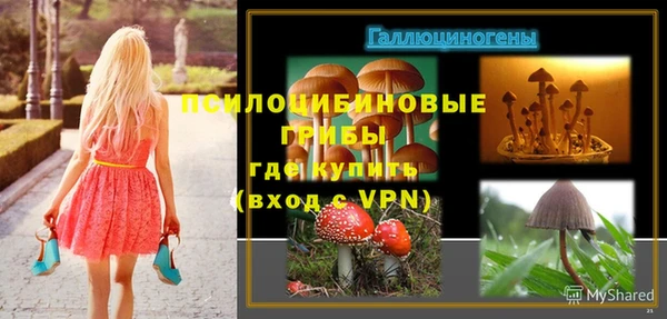 мет Верея