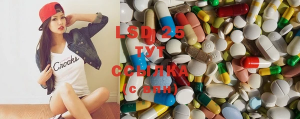 прущие грибы Верхнеуральск